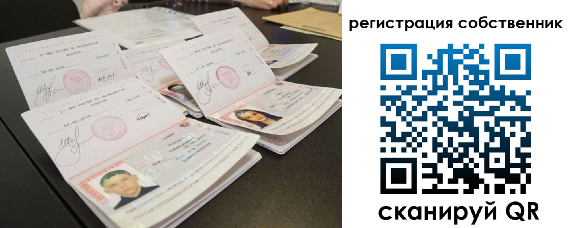 прописка 2025 в Кингисеппе